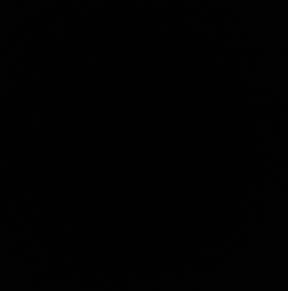lightning1589